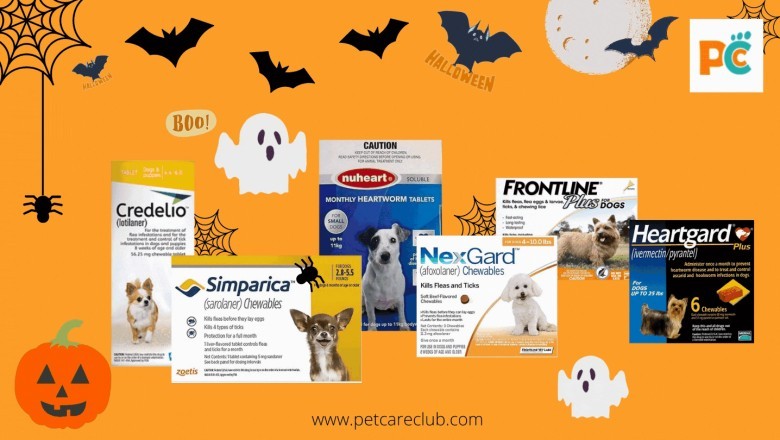 Tips To Keep Your Pets Safe During Halloween