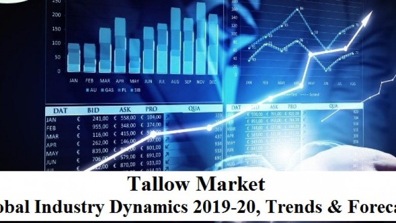 Tallow Industry Analysis