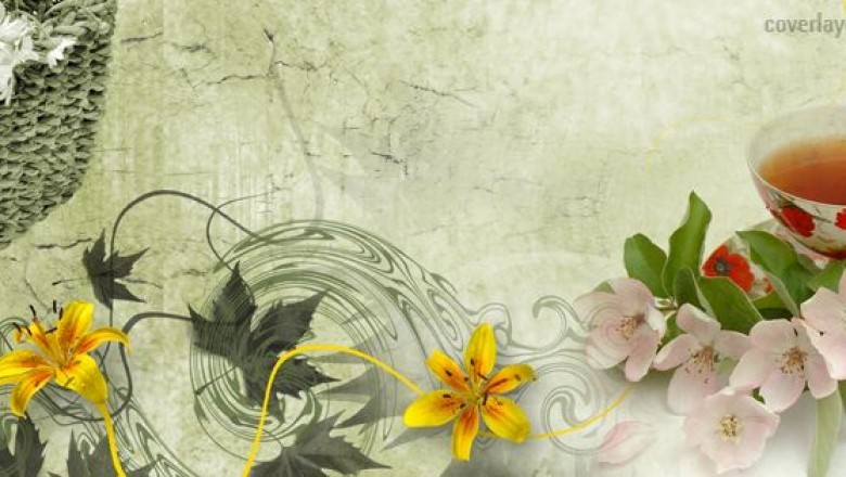 Difference between tisane tea and true teas