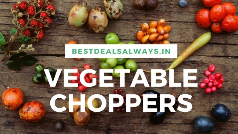 Top 4 Best vegetable chopper