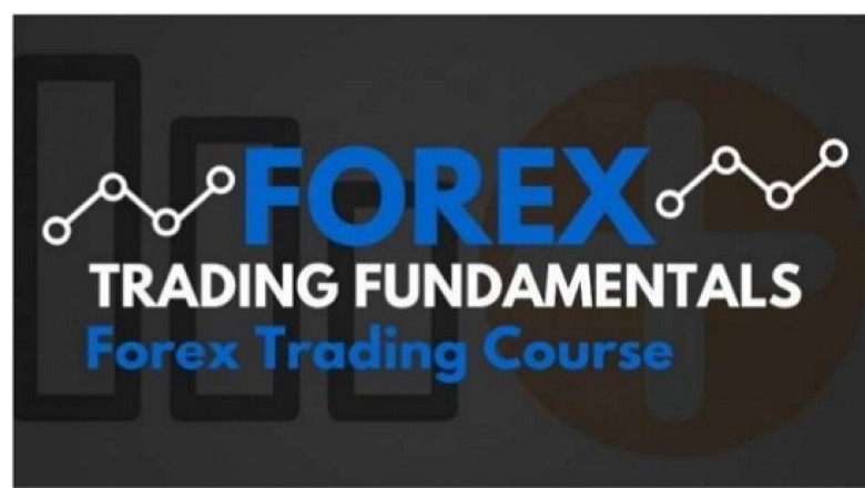 Tackle the Currency Market: Try Online Forex Trading Training