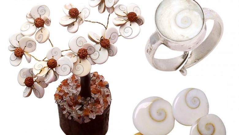 Buy 1 Natural Gomti Rudraksha Tree With Silver Gomti Ring and Get 1 Free Gomti Chakkra 5Pcs