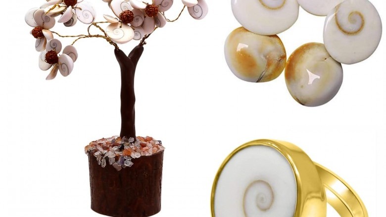 Gomti Rudraksha Tree with Panchdhatu Gomti Ring & Gomti Chakkra 5Pcs