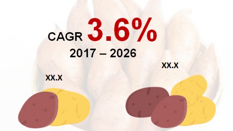 Potato Protein Market will touch a valuation of US$ 152 Mn by 2026