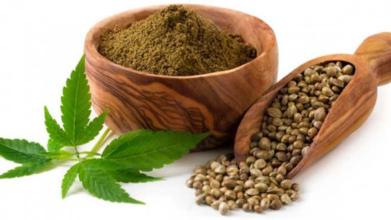 Hemp Protein Market Size