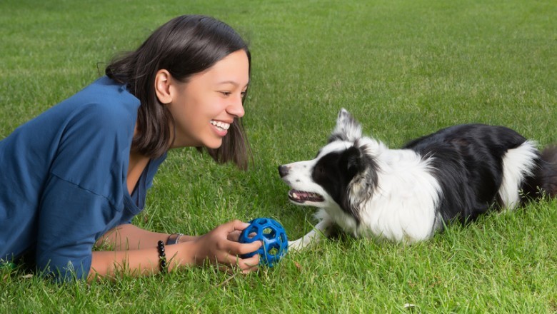 South Windsor Bark Park