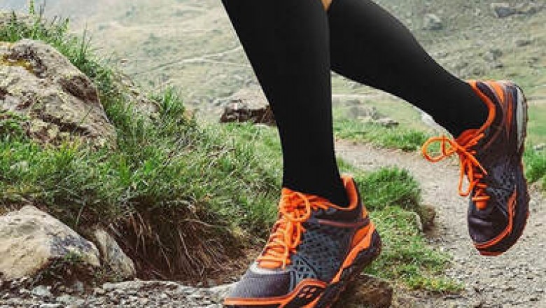 Therapeutic Socks Market Research