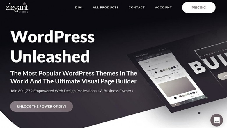 What Are The Positives And Negatives Sides Of Elegant Themes?