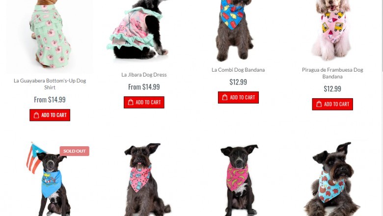 Get the Best Quality Products of Designer Dog Collars – Toy Doggie Brand