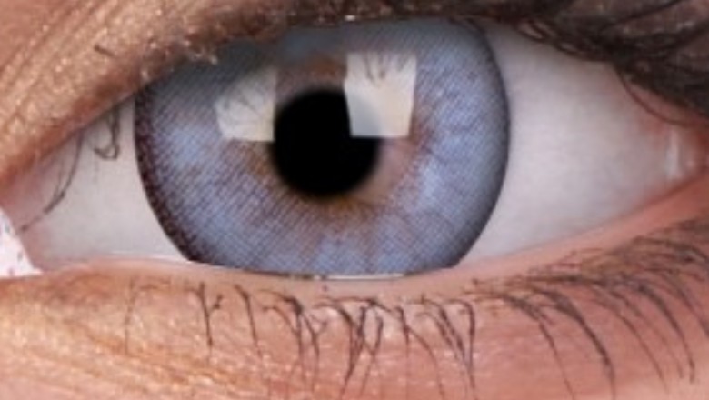 Best contact lenses brand