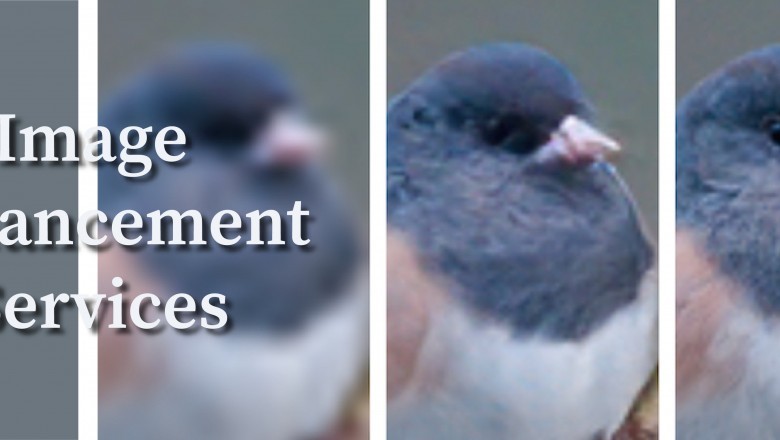 Polishing the Image With Photo Enhancement Services