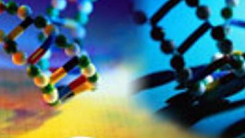 What Is Required For Sanger Sequencing?