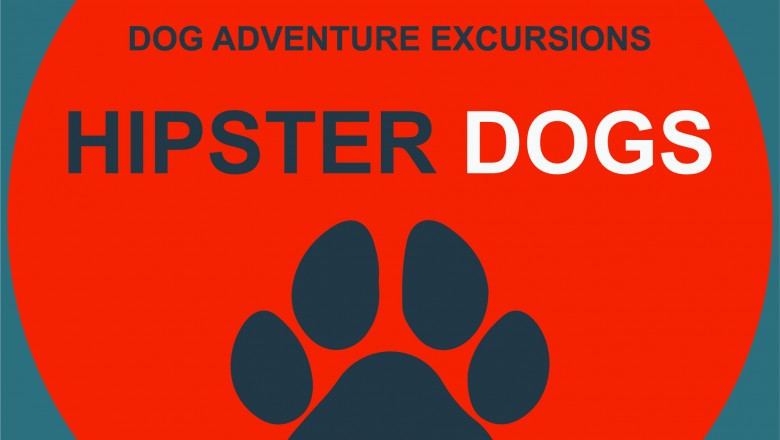 Stimulate your pets with the feel-good company of professional dog walker’s Laingholm