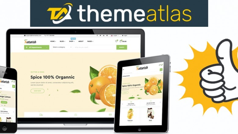 Choosing Fastest Wordpress Themes through Themeatlas 2020