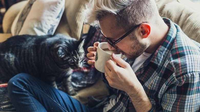 Single Cup Coffee Makers - For the Personal Brewing Pleasure
