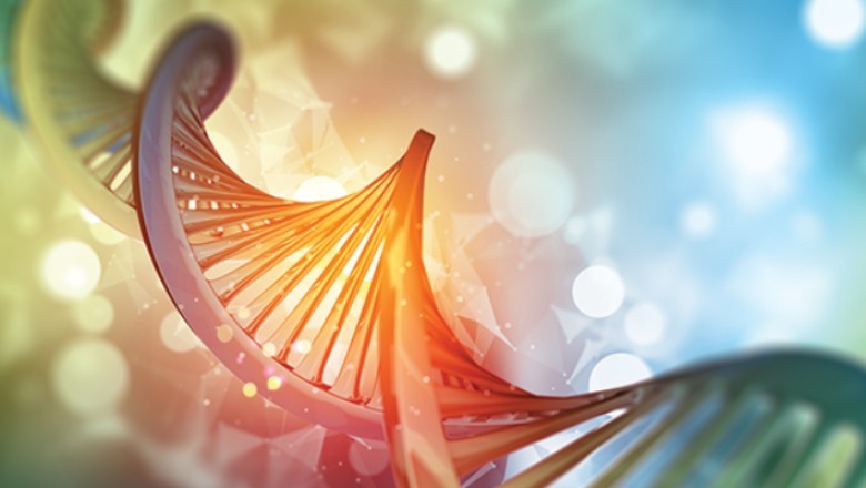 Sanger Sequencing: Still the Gold Standard?