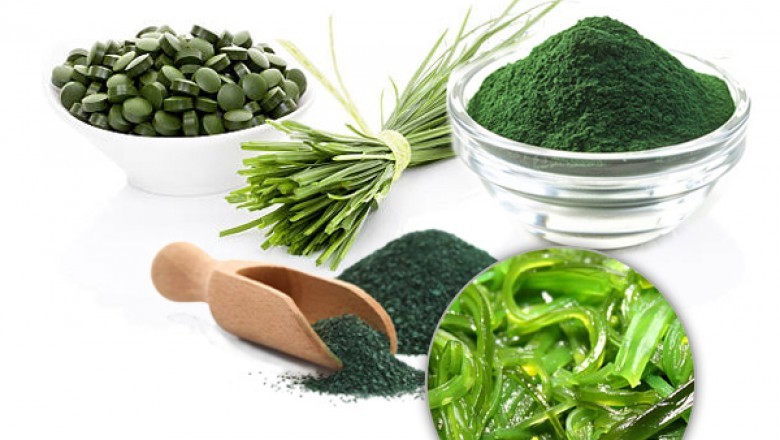 Organic Spirulina Powder