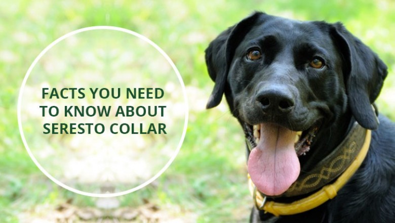 Seresto Collar FAQ