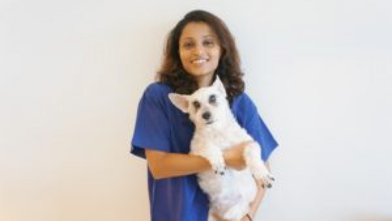 Why Should You Take Your Pet To The Best Pet Eye Doctor In Singapore?