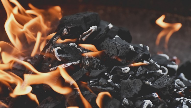 Activated Carbon Market – Global Industry Report, 2030