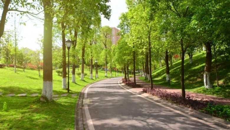 Live Green – 10 Simple Steps To Live Eco – Friendly | DSR Infra