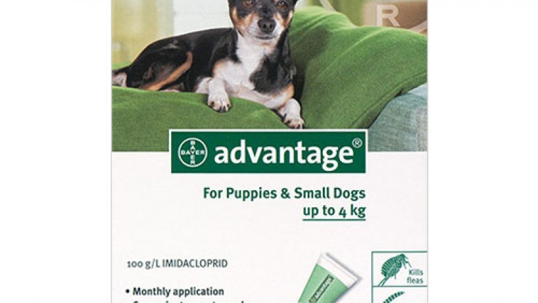 Advantage for Dogs | BudgetPetSupplies.co.za