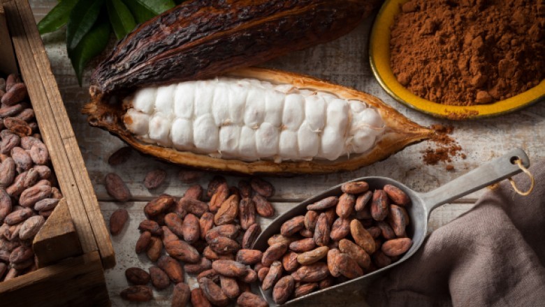 Cocoa Market; Cocoa-Rich Products Are Beneficial For People with Heart Problems