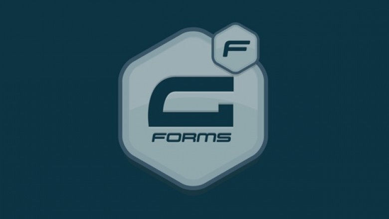 What Are The Advantages And Disadvantages Of GravityForms? How To Connect Payment Option To Gravity Forms?