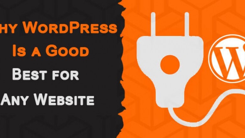 Why WordPress Is a Good Best for Any Website