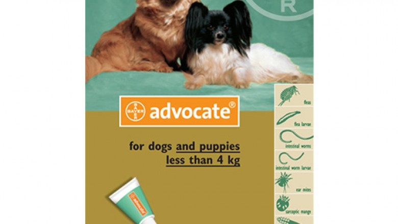 ADVOCATE FOR DOGS – FLEA AND HEARTWORM PREVENTIVE