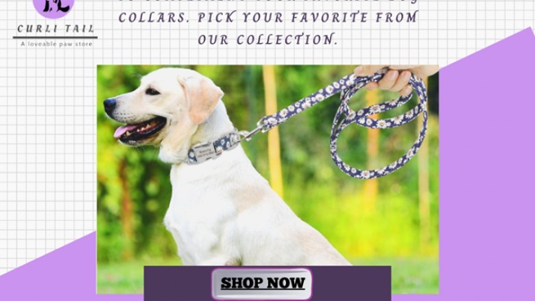 Buy pet accessories | dog accessories shop