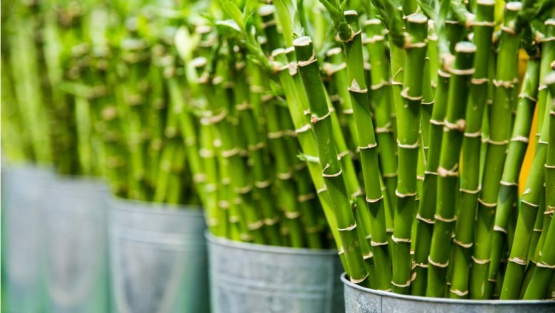 Bamboo Towels - An Eco-Friendly, Fast Absorption Option to Cotton