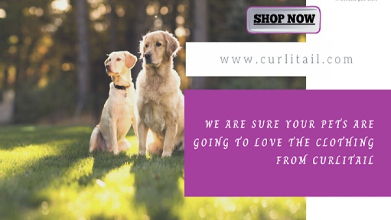 Best pet accessories shop | online pet store