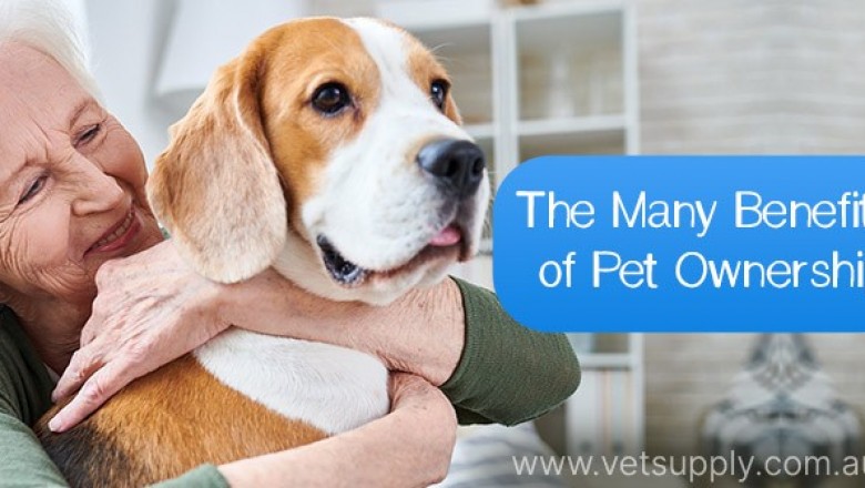 Many Benefits of Pet Ownership