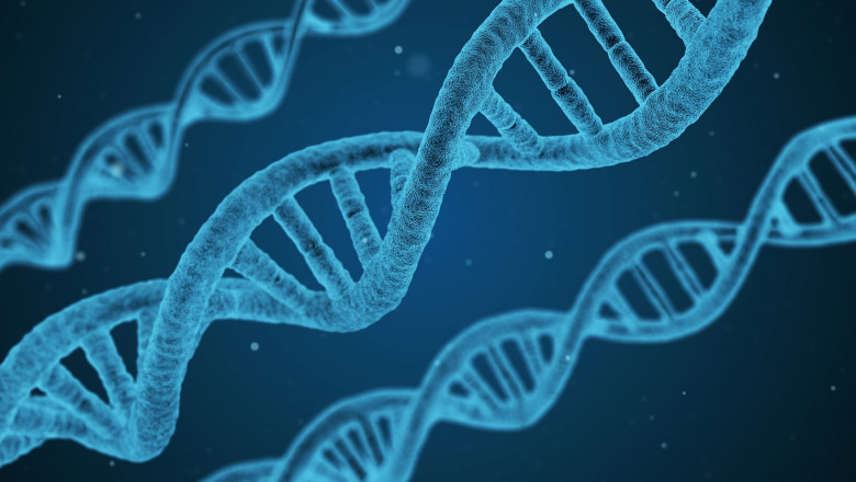Retrogen, Inc. | How Does The Sanger Sequencing Works?
