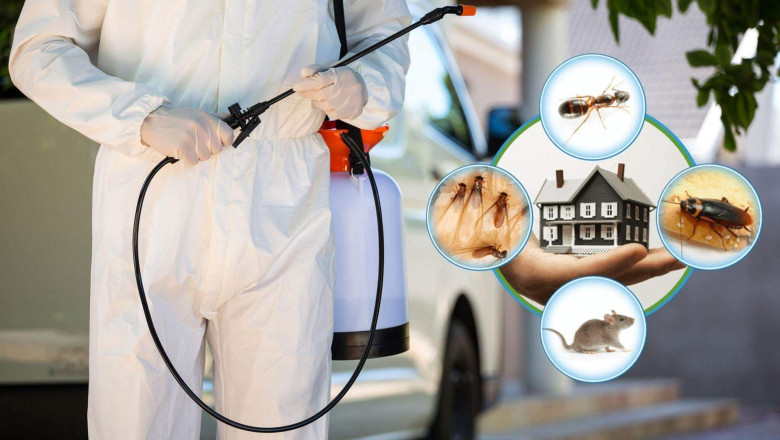How ASRS help you with its Pest control services in Sydney?
