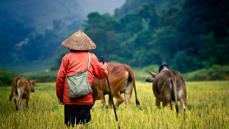 Vietnam Tours AsiaTourAdvisor