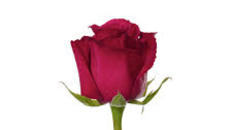 Erotic Services in Grande Prairie | grande-prairie