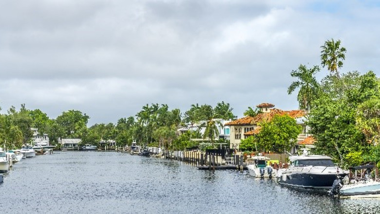 Trees Care in Coral Gables
