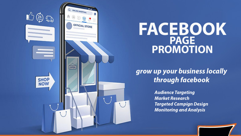 I will create and manage your facebook paid advertisement campaign