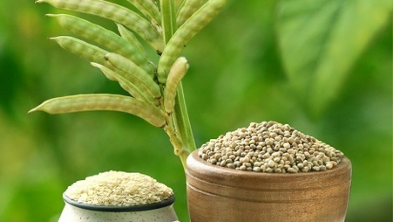 Guar Gum Is Gaining Popularity as Additive In the Food & Beverage Industry
