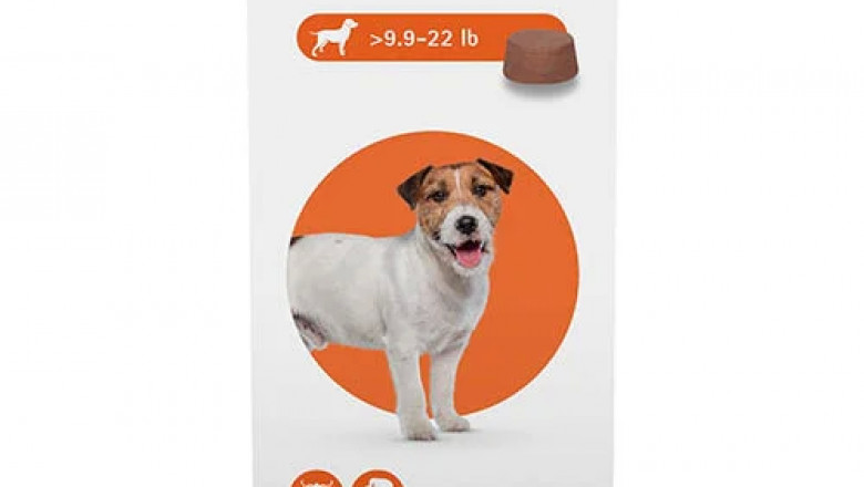 Buy Bravecto for small dogs | flea and tick treatment