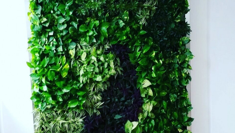 Artificial Vertical Garden in Delhi.