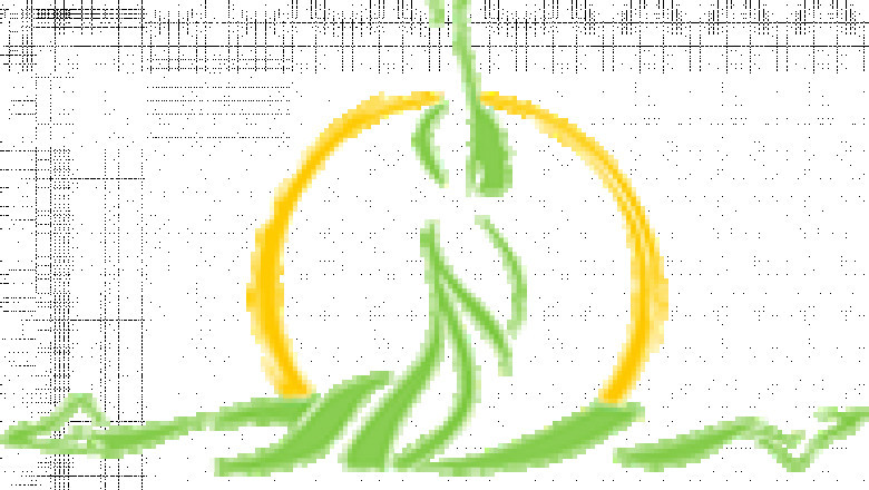 Dhyana - Weightloss Program