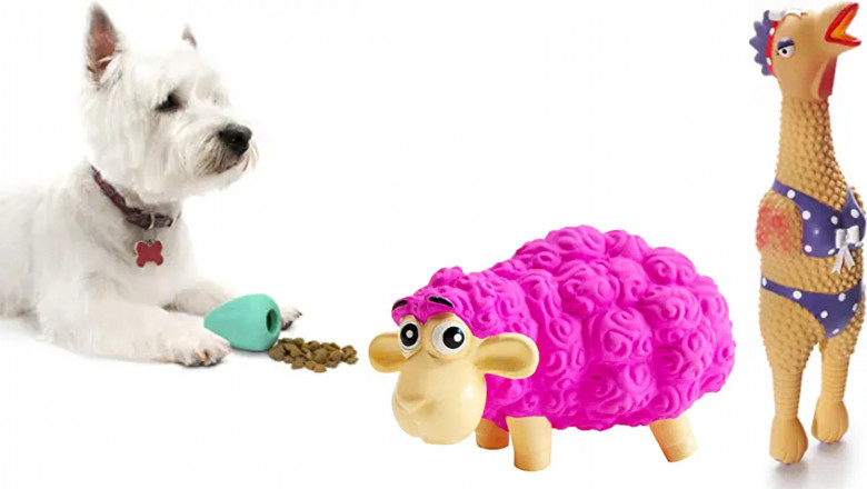 Rubber Dog Toys | Your Puppies Safe And Durable Companion