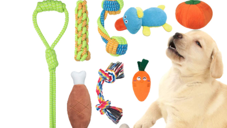 What Are The Best Dog Toys For 2021?