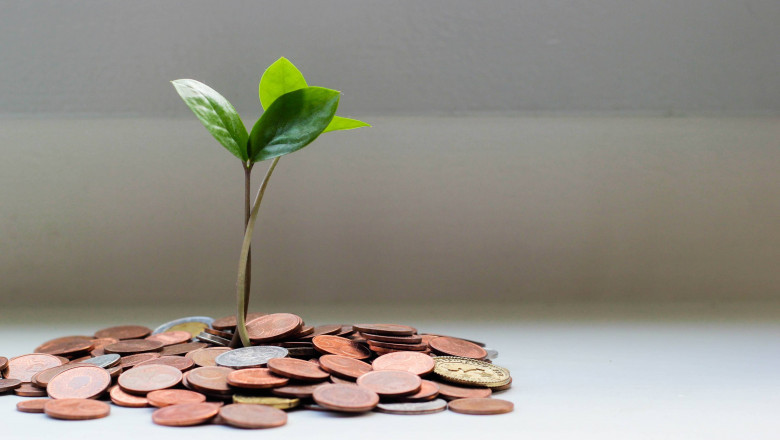 What You Need to Know About Business Accounting and Financial Management