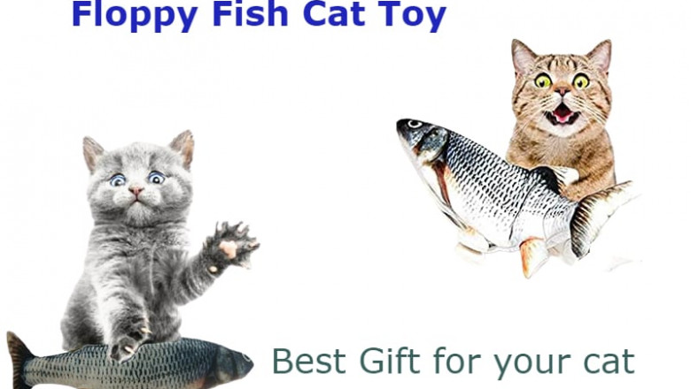 Floppy Fish Cat Toy: Does Your Cat Like Floppy Fish Toy?