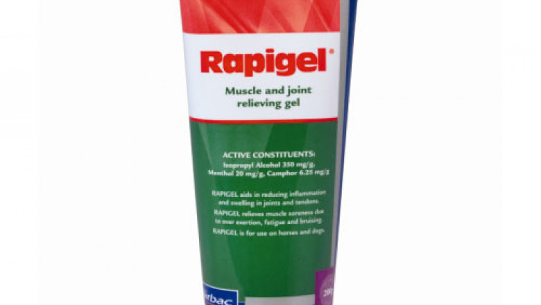 Buy Rapigel Muscle & Joint Relieving Gel For Dogs and Horses Online