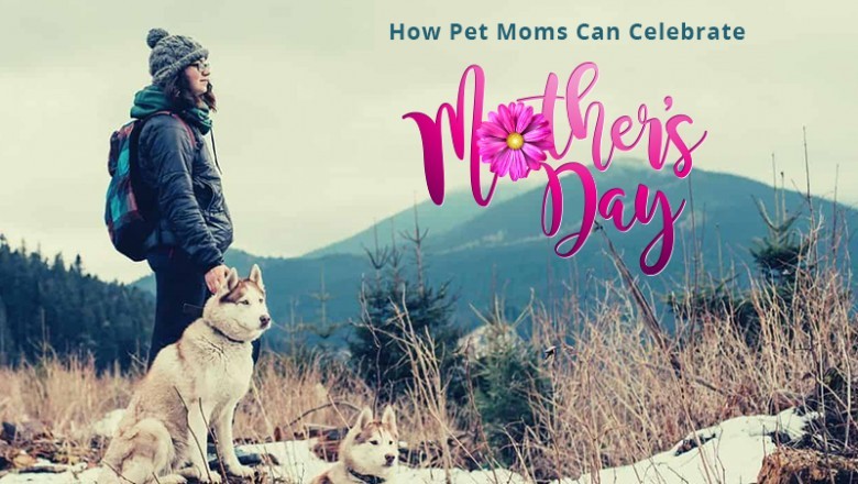 How Pet Moms Can Celebrate Mother’s Day?